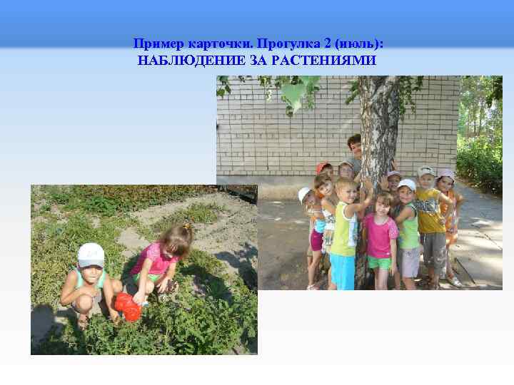  Пример карточки. Прогулка 2 (июль): НАБЛЮДЕНИЕ ЗА РАСТЕНИЯМИ 