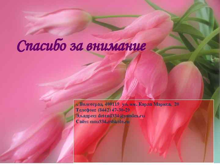 Спасибо за внимание г. Волгоград, 400119 ул. им. Карла Маркса, 20 Телефон: (8442) 47