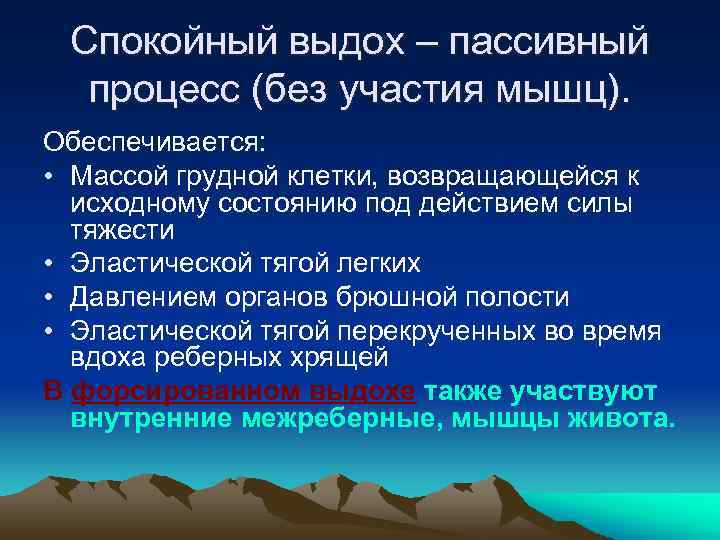 Спокойный выдох – пассивный процесс (без участия мышц). Обеспечивается: • Массой грудной клетки, возвращающейся