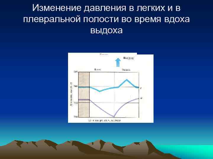 Изменение давления в легких и в плевральной полости во время вдоха выдоха 