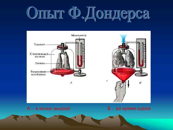 А – в конце выдоха Б – во время вдоха 