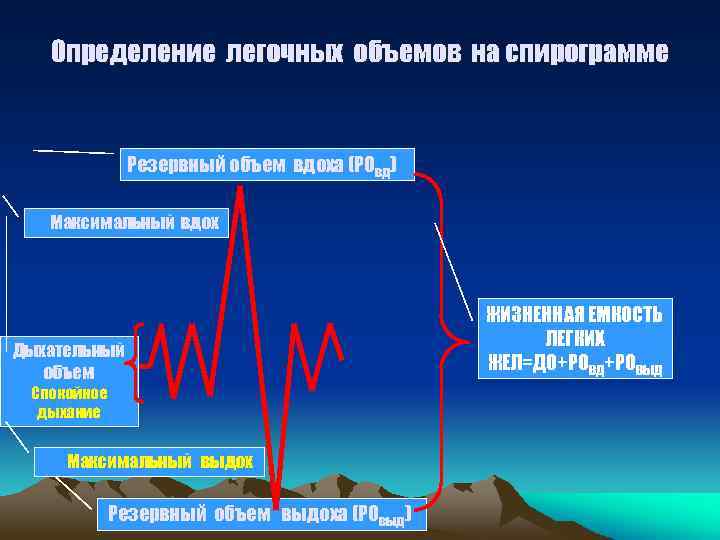 Определение легочных объемов на спирограмме Резервный объем вдоха (РОвд) Максимальный вдох Дыхательный объем Спокойное