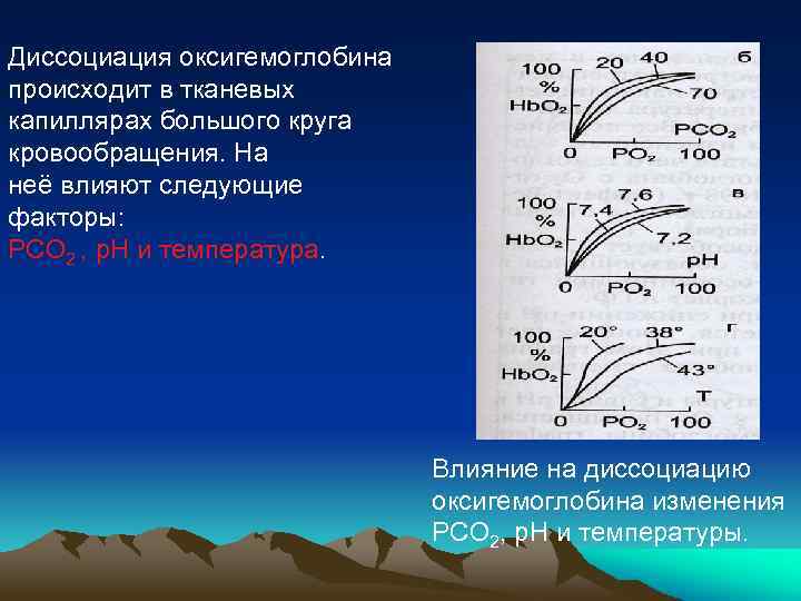 В капиллярах происходит. Факторы диссоциации оксигемоглобина. Диссоциация оксигемоглобина. Диссоциация оксигемоглобина происходит в. Распад оксигемоглобина на гемоглобин.