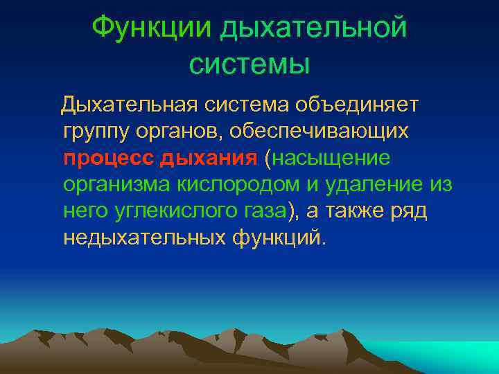 Функции дыхательной системы Дыхательная система объединяет группу органов, обеспечивающих процесс дыхания (насыщение организма кислородом