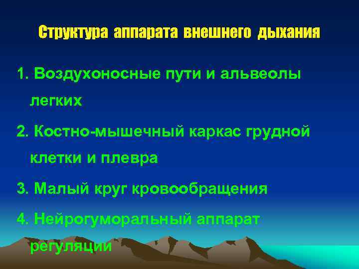 Структура аппарата внешнего дыхания 1. Воздухоносные пути и альвеолы легких 2. Костно-мышечный каркас грудной