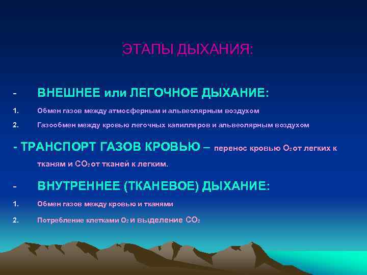 ЭТАПЫ ДЫХАНИЯ: - ВНЕШНЕЕ или ЛЕГОЧНОЕ ДЫХАНИЕ: 1. Обмен газов между атмосферным и альвеолярным