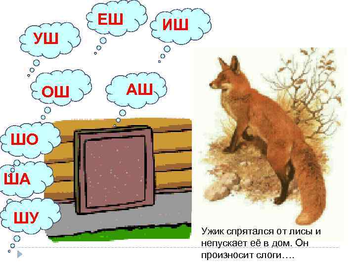 ЕШ ИШ УШ ОШ АШ ШО ША ШУ Ужик спрятался от лисы и непускает