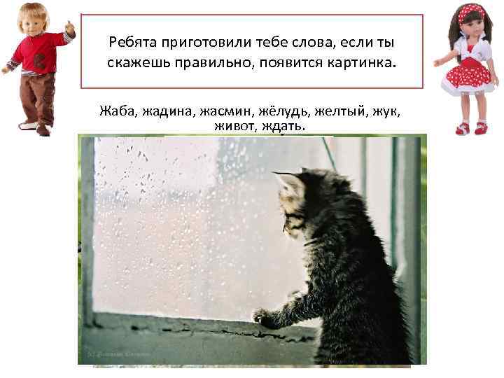 Ребята приготовили тебе слова, если ты скажешь правильно, появится картинка. Жаба, жадина, жасмин, жёлудь,