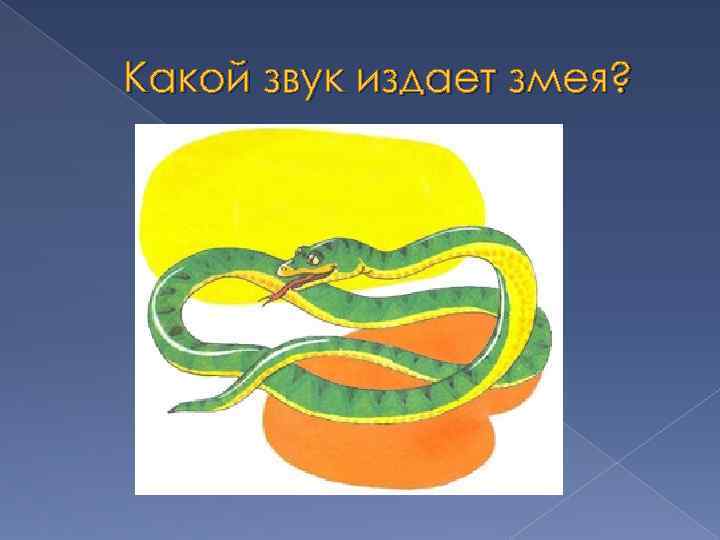 Какой звук издает змея? 