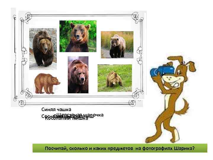 Синяя чашка Шерстяная Сосновая шишка шапочка Смешной малыш Косолапый мишка Посчитай, сколько и каких