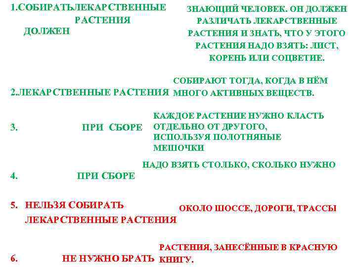 1. СОБИРАТЬЛЕКАРСТВЕННЫЕ РАСТЕНИЯ ДОЛЖЕН ЗНАЮЩИЙ ЧЕЛОВЕК. ОН ДОЛЖЕН РАЗЛИЧАТЬ ЛЕКАРСТВЕННЫЕ РАСТЕНИЯ И ЗНАТЬ, ЧТО
