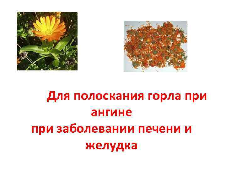 Для полоскания горла при ангине при заболевании печени и желудка 