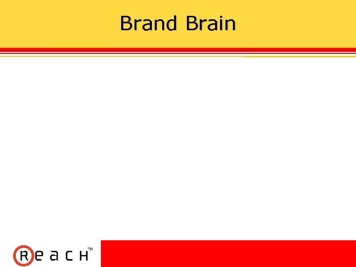 Brand Brain 