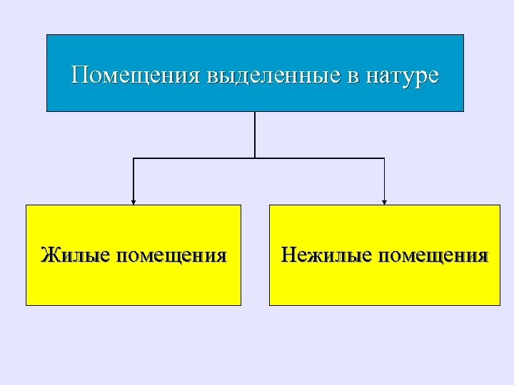 Помещения выделенные в натуре Жилые помещения Нежилые помещения 