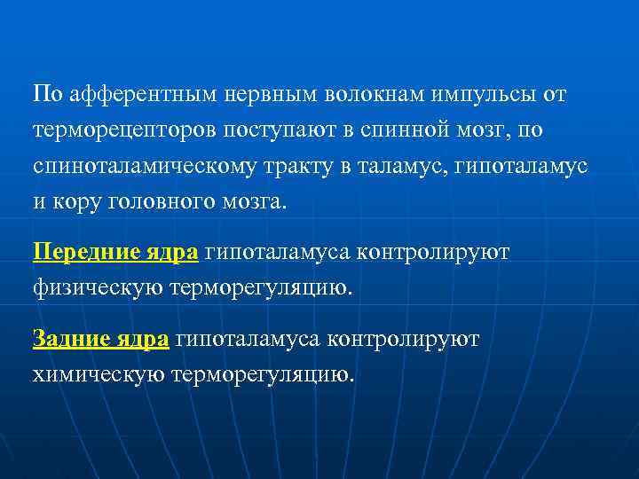 По афферентным нервным волокнам импульсы от терморецепторов поступают в спинной мозг, по спиноталамическому тракту