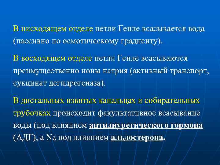 В нисходящем отделе петли Генле всасывается вода (пассивно по осмотическому градиенту). В восходящем отделе
