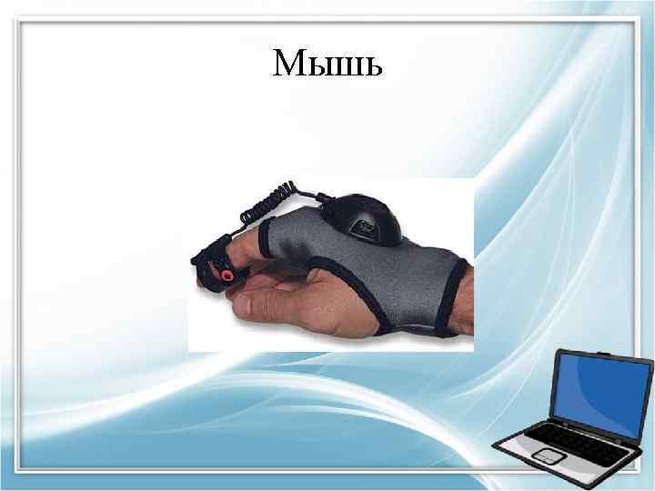 Мышь 