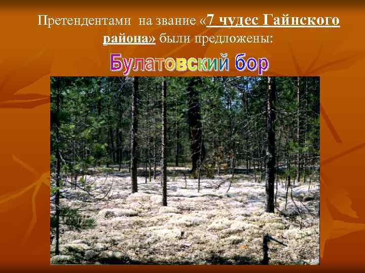 Претендентами на звание « 7 чудес Гайнского района» были предложены: 