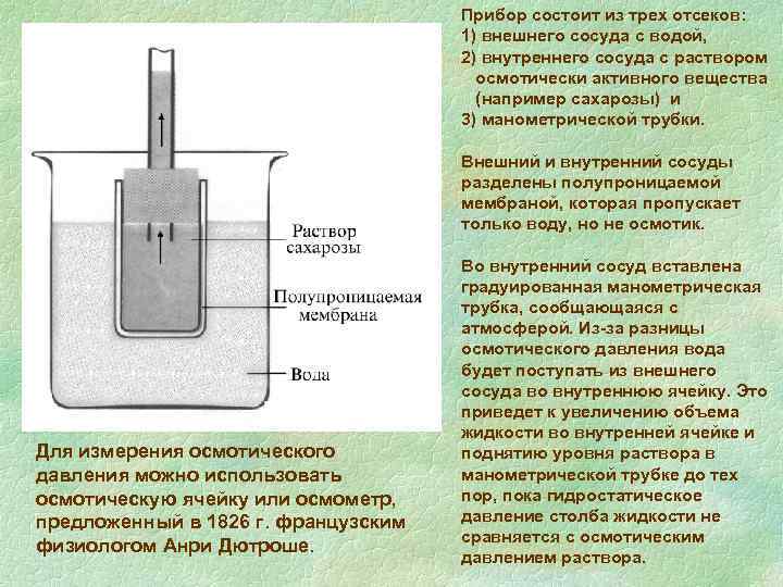 Прибор состоит. Осмометр Пфеффера. Прибор для измерения осмотического давления. Осмометр Дютроше. Осмометр принцип действия.