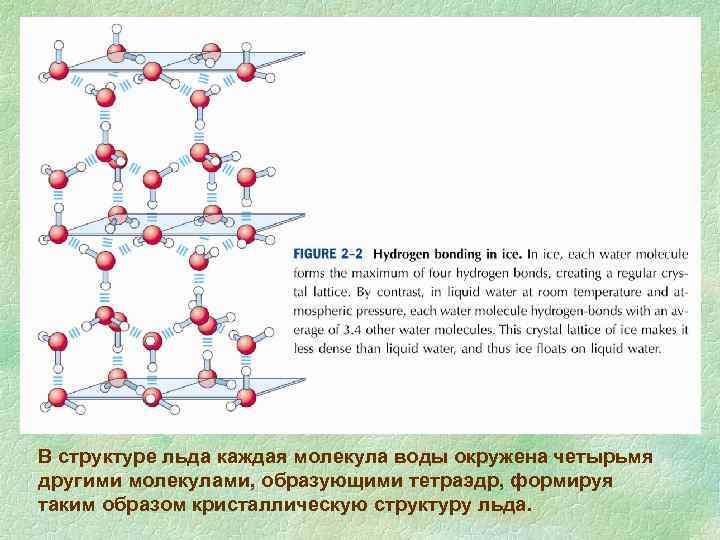 Каждая молекула. Структура льда тетраэдрическая. Структура обычного льда. Тетраэдр структура льда. Формы структуры льда.