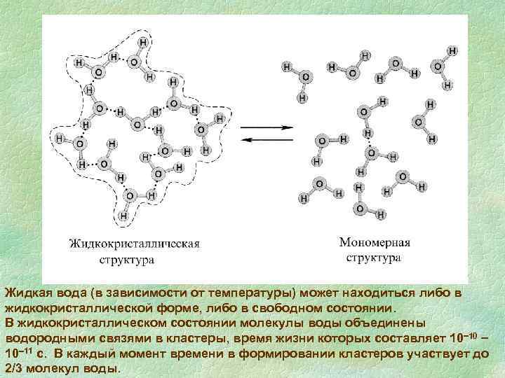 Жидкая вода (в зависимости от температуры) может находиться либо в жидкокристаллической форме, либо в