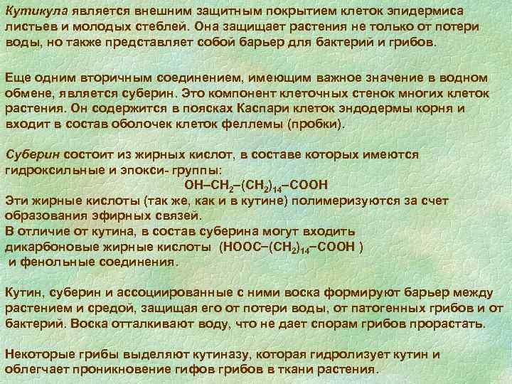Кутикула является внешним защитным покрытием клеток эпидермиса листьев и молодых стеблей. Она защищает растения