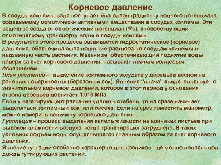 Корневое давление. Плач (физиология). Движущие силы водного потока. Корневое давление это в биологии.