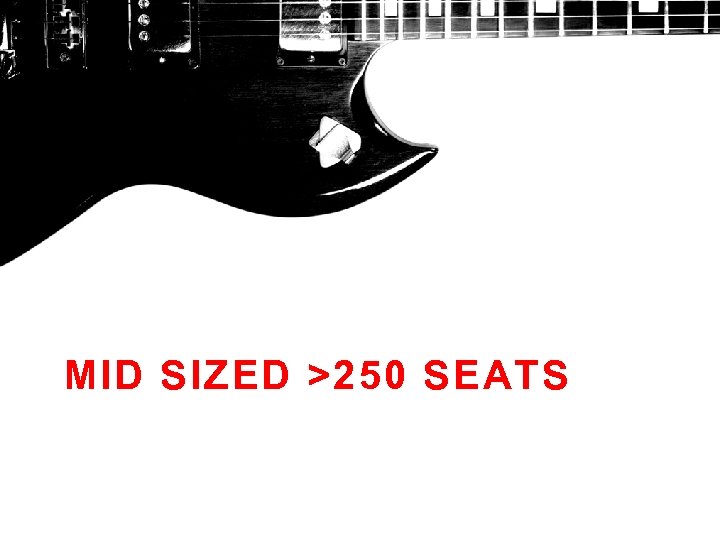 MID SIZED >250 SEATS 
