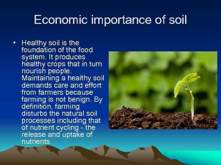 Economic importance of soil • Healthy soil is the foundation of the food system.