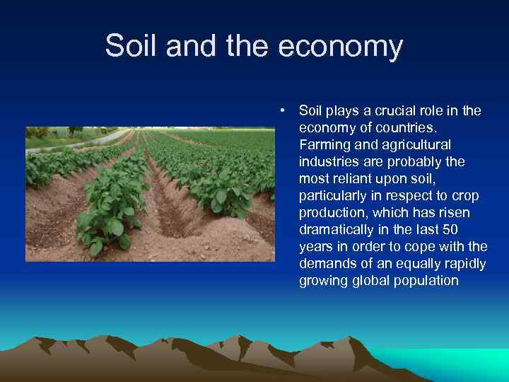 Soil and the economy • Soil plays a crucial role in the economy of