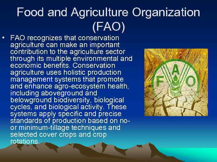 Food and Agriculture Organization (FAO) • FAO recognizes that conservation agriculture can make an
