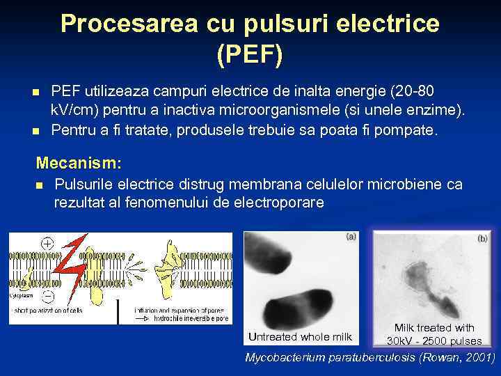 Procesarea cu pulsuri electrice (PEF) n n PEF utilizeaza campuri electrice de inalta energie