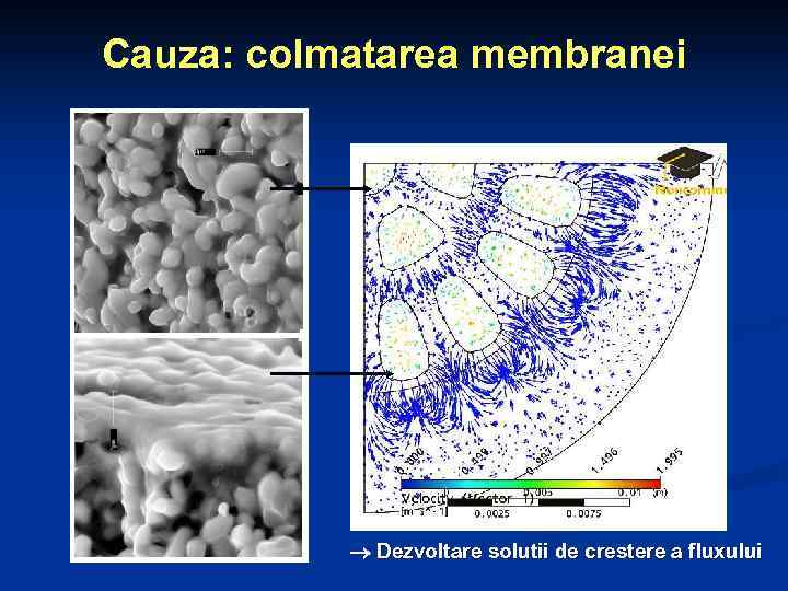 Cauza: colmatarea membranei Dezvoltare solutii de crestere a fluxului 