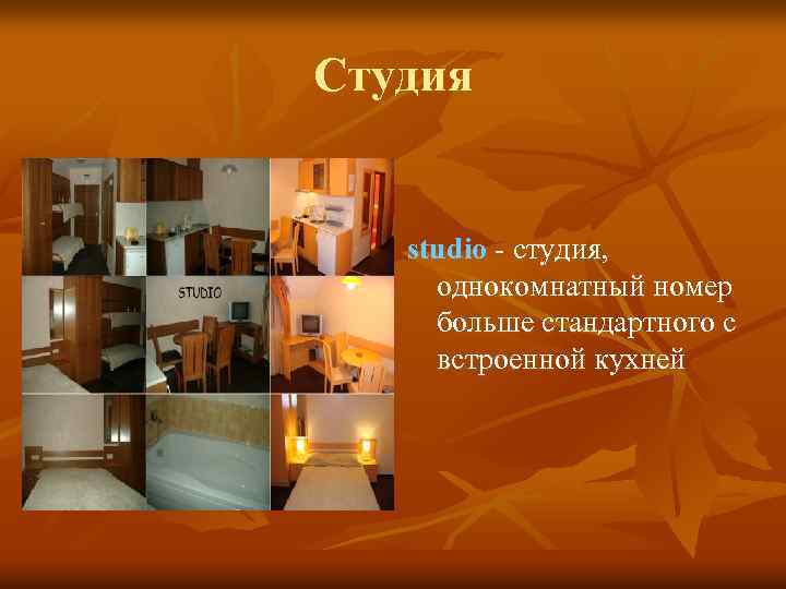 Студия studio - студия, однокомнатный номер больше стандартного c встроенной кухней 