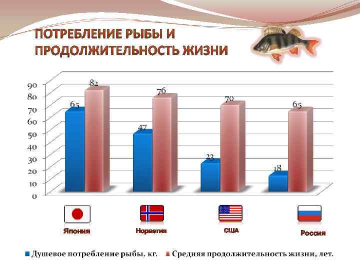 Япония Норвегия США Россия 