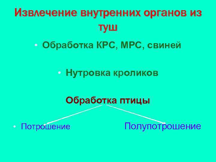 Извлечение внутренних органов из туш • Обработка КРС, МРС, свиней • Нутровка кроликов Обработка