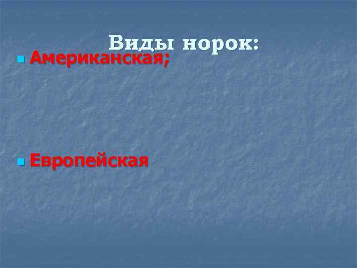 Виды норок: n Американская; n Европейская 