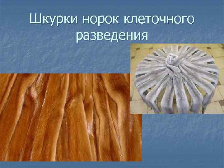 Шкурки норок клеточного разведения 