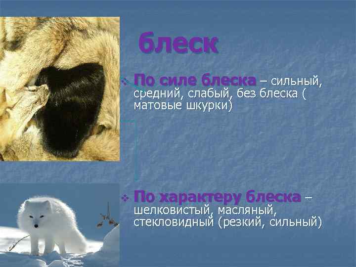 блеск v По силе блеска – сильный, v По характеру блеска – средний, слабый,