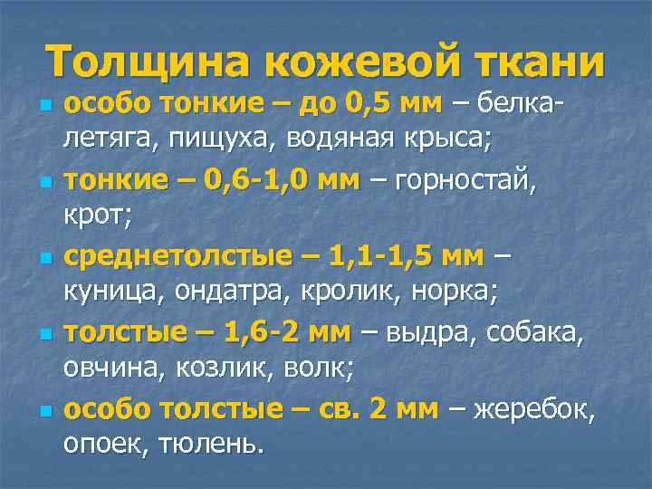 Толщина кожевой ткани n n n особо тонкие – до 0, 5 мм –