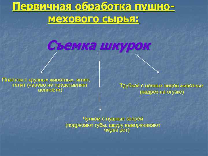 Первичная обработка пушномехового сырья: Съемка шкурок Пластом с крупных животных, ягнят, телят (черево не