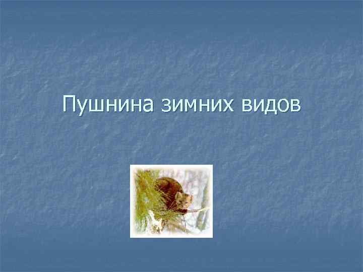 Пушнина зимних видов 