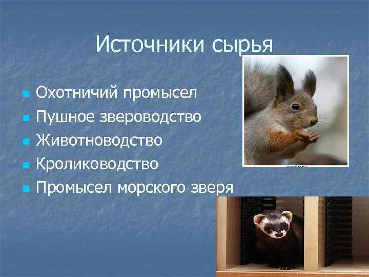 Источники сырья n n n Охотничий промысел Пушное звероводство Животноводство Кролиководство Промысел морского зверя
