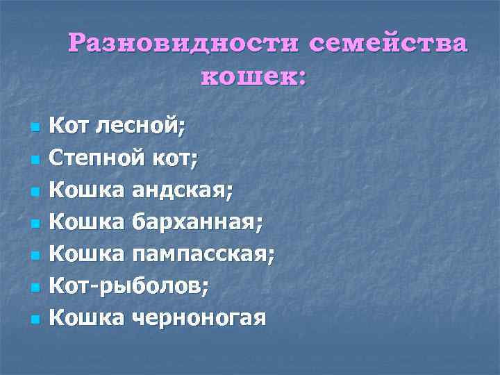 Разновидности семейства кошек: n n n n Кот лесной; Степной кот; Кошка андская; Кошка