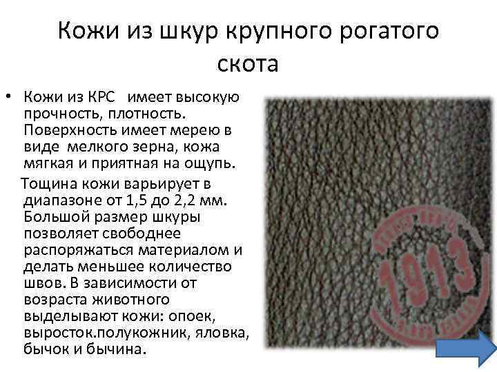 Кожи из шкур крупного рогатого скота • Кожи из КРС имеет высокую прочность, плотность.
