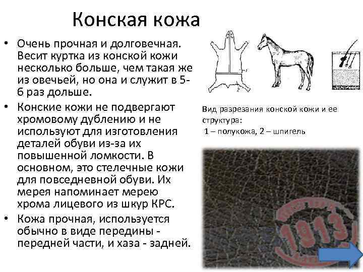 Конская кожа • Очень прочная и долговечная. Весит куртка из конской кожи несколько больше,