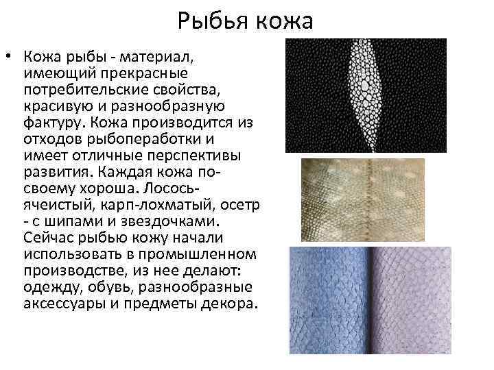 Рыбья кожа • Кожа рыбы - материал, имеющий прекрасные потребительские свойства, красивую и разнообразную