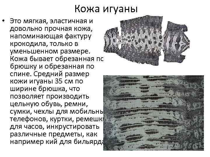 Кожа игуаны • Это мягкая, эластичная и довольно прочная кожа, напоминающая фактуру крокодила, только