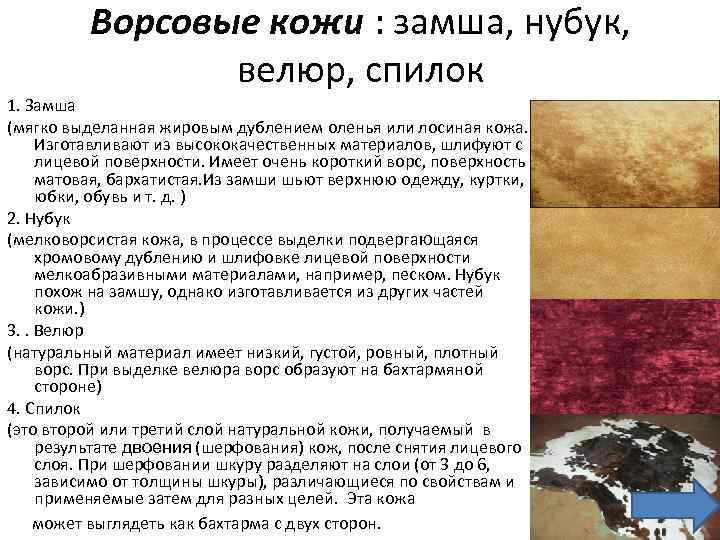Ворсовые кожи : замша, нубук, велюр, спилок 1. Замша (мягко выделанная жировым дублением оленья