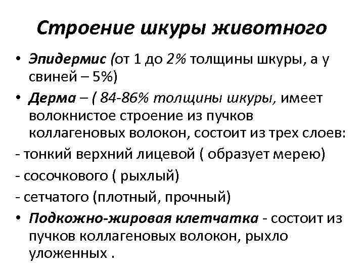 Строение шкуры животного • Эпидермис (oт 1 до 2% толщины шкуры, а у свиней